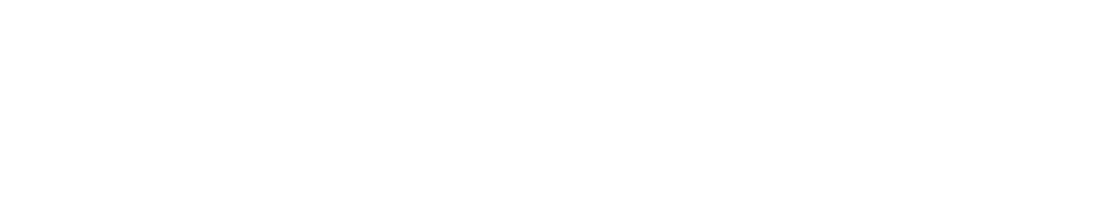 Bridge Ventures Group